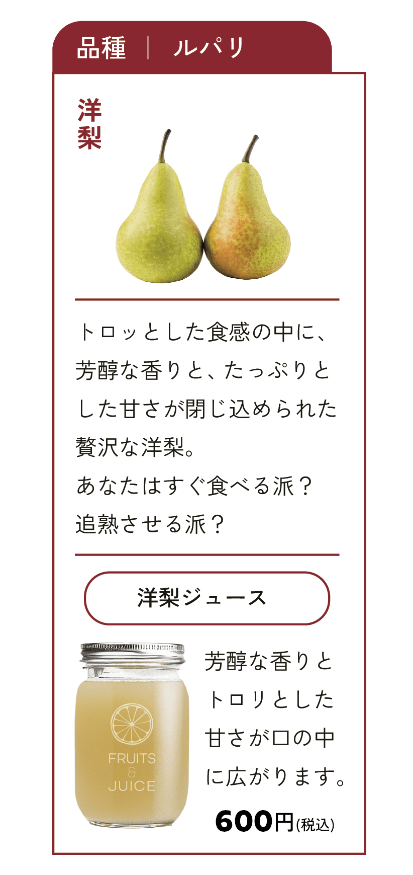サイト制作時のポイント